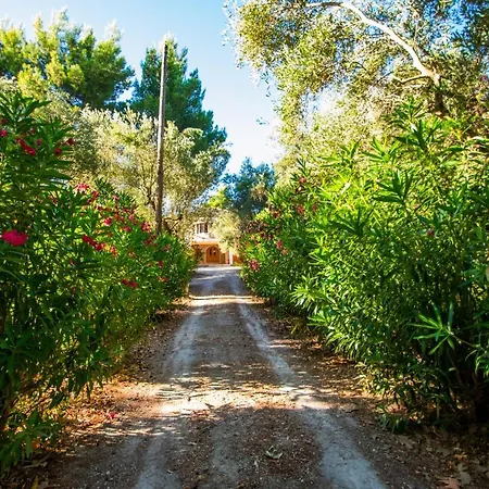 Doliva Estate Vilă