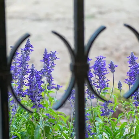 Doliva Estate ヴィラ ラガナス