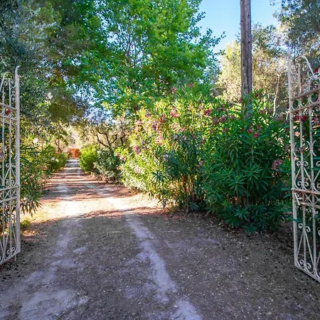 Villa Doliva Estate Laganas