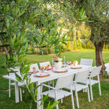 Doliva Estate Laganas