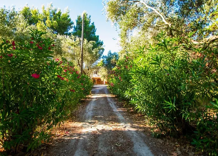 Doliva Estate فيلة